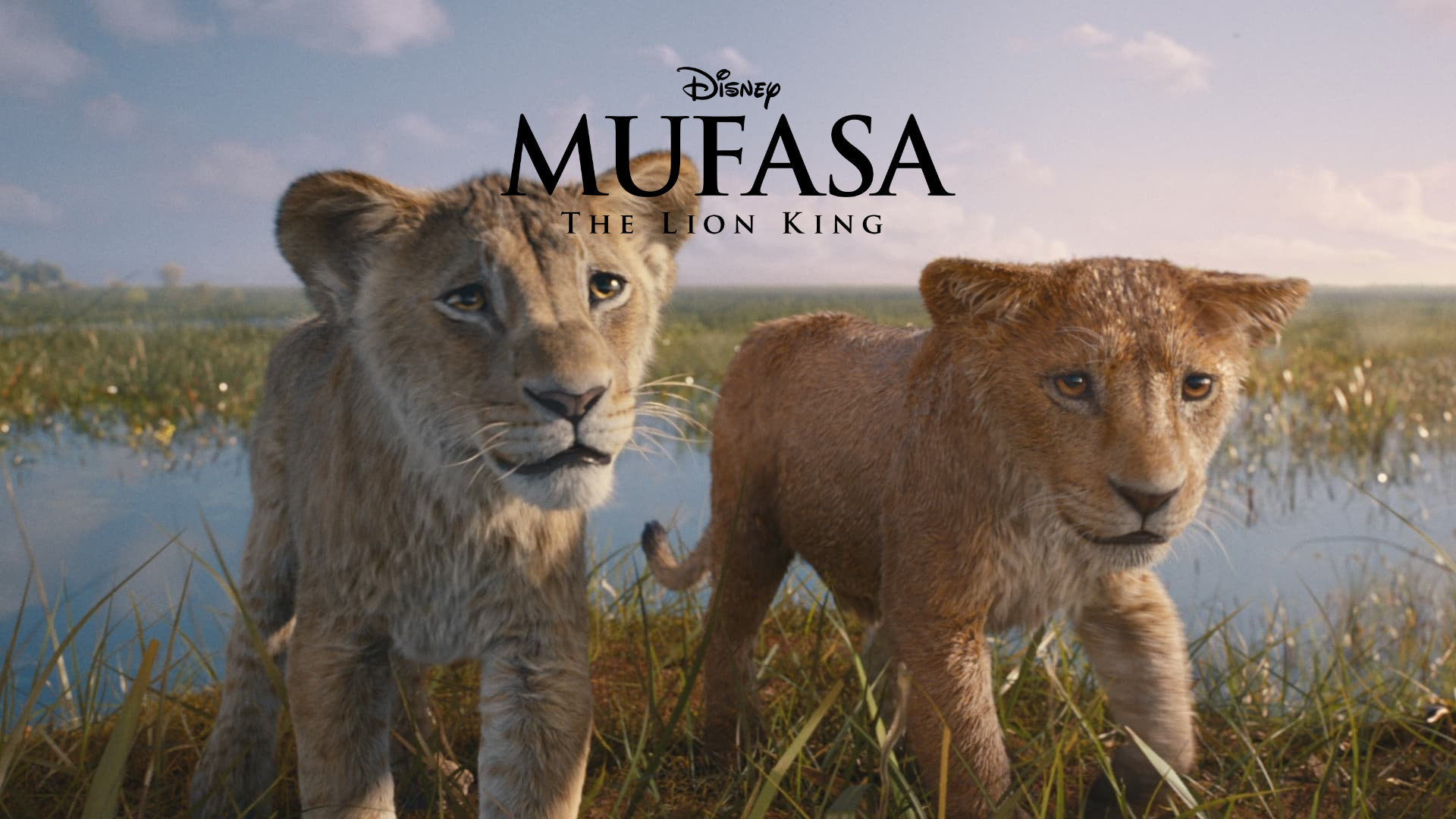 Mufasa: The Lion King